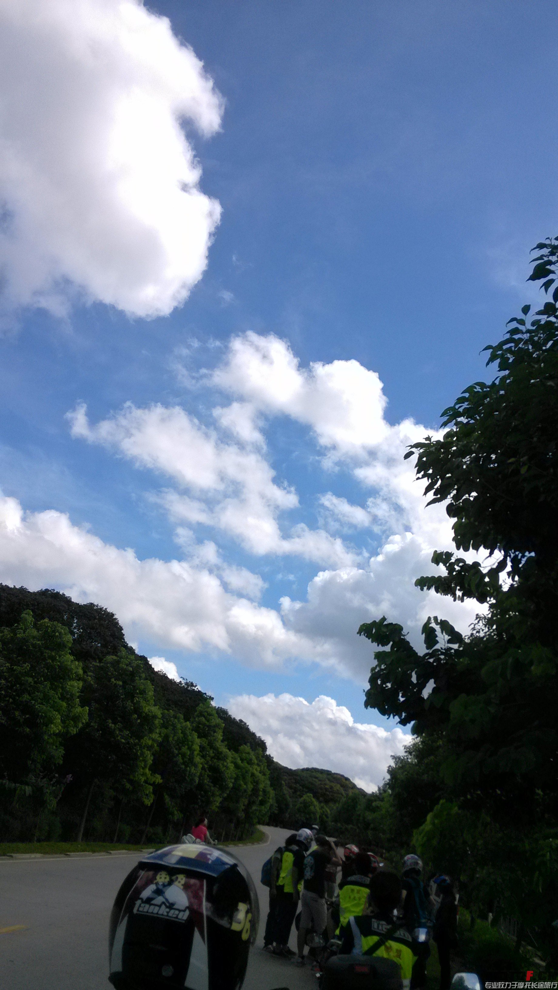 IMG_20140727_095523.jpg