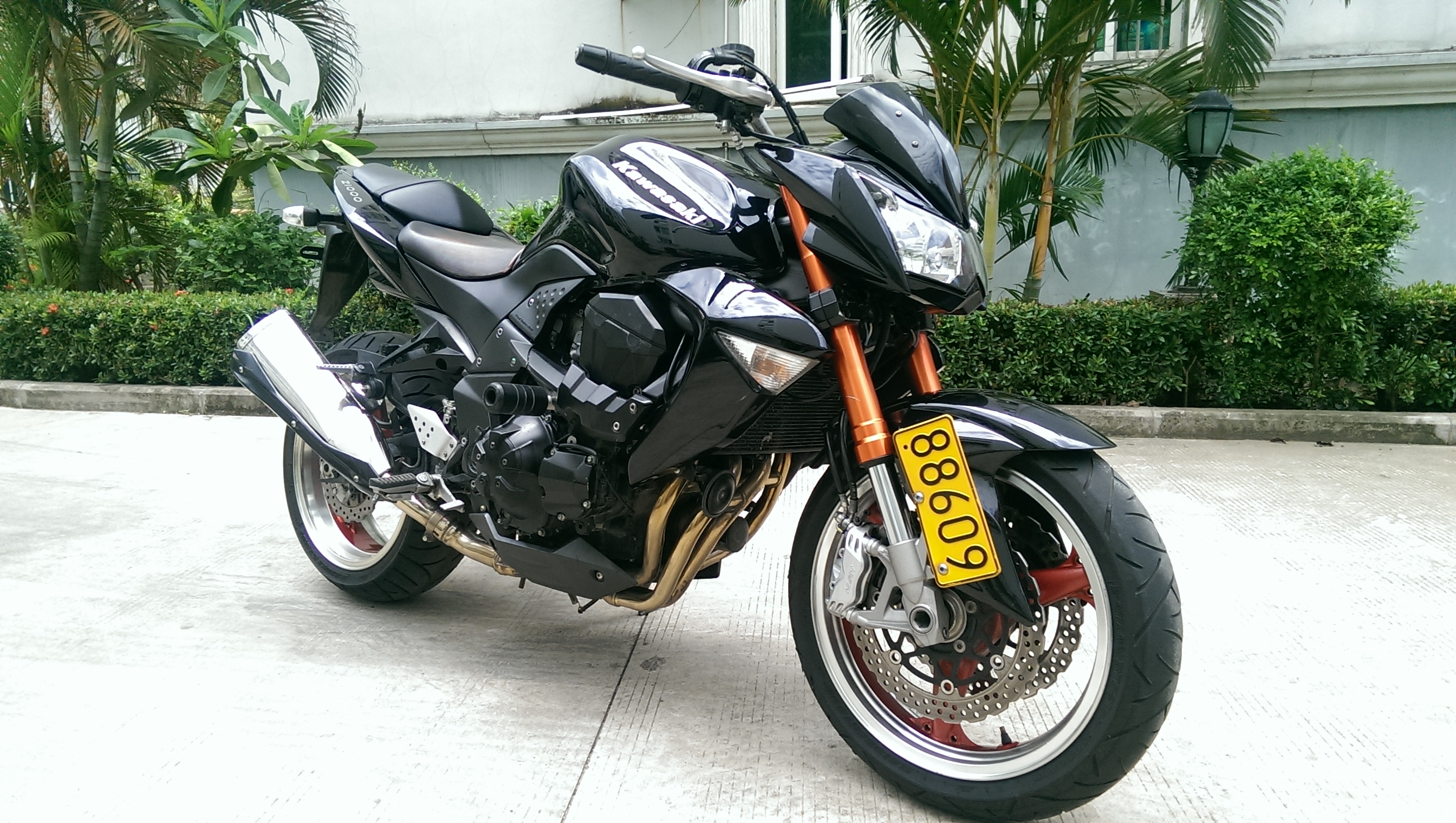 IMAG0379.jpg