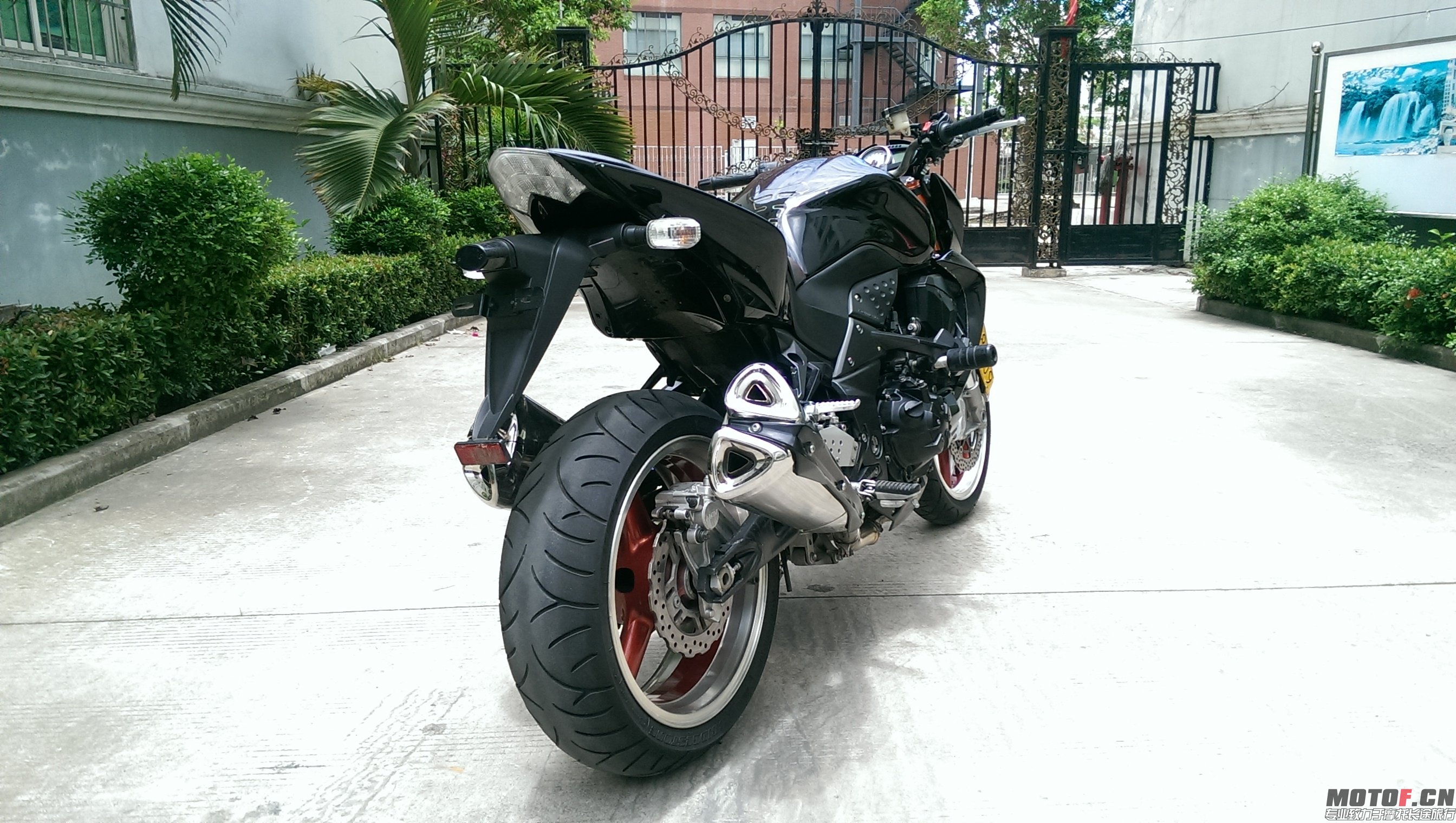 IMAG0376.jpg
