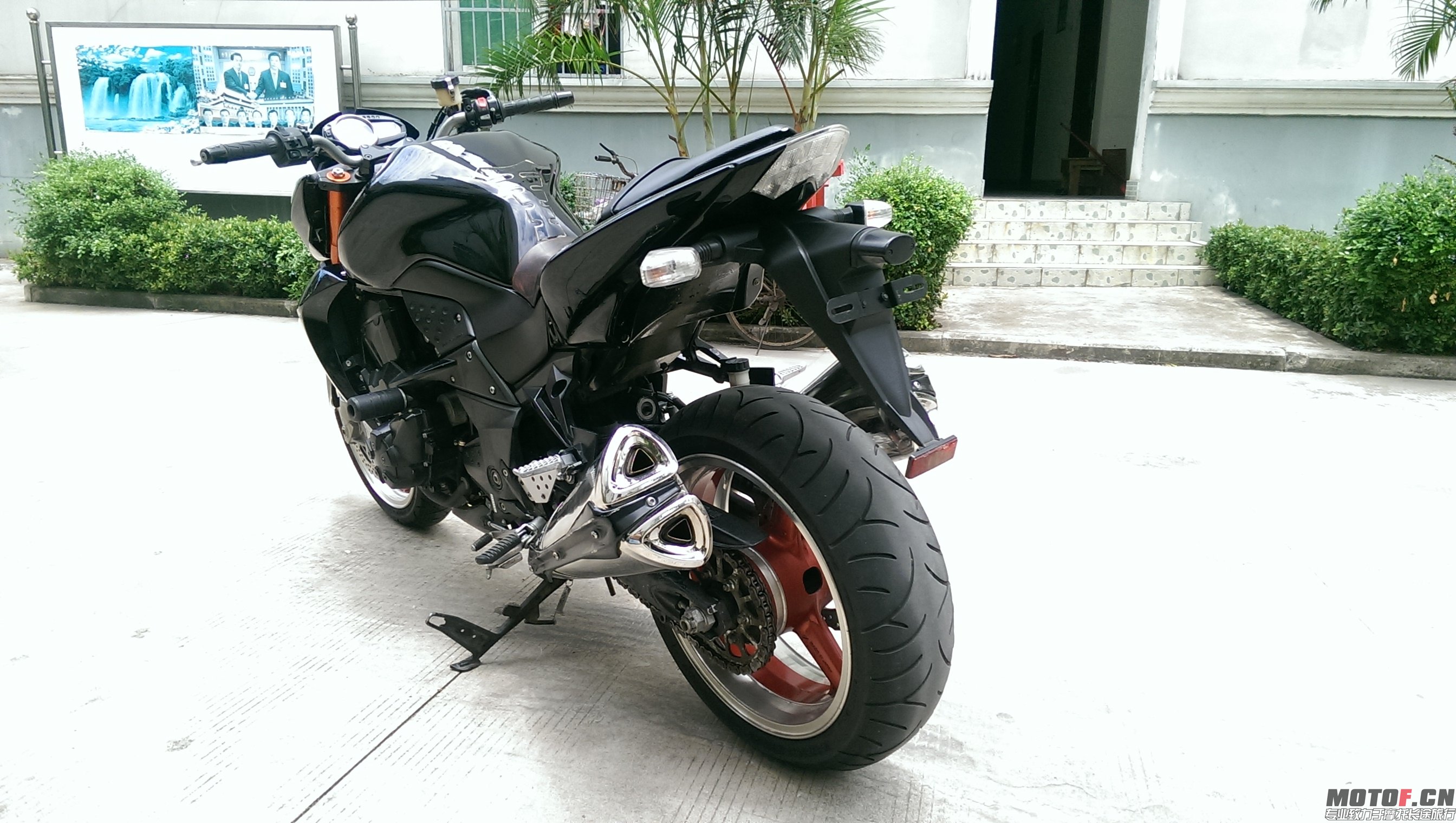 IMAG0377.jpg