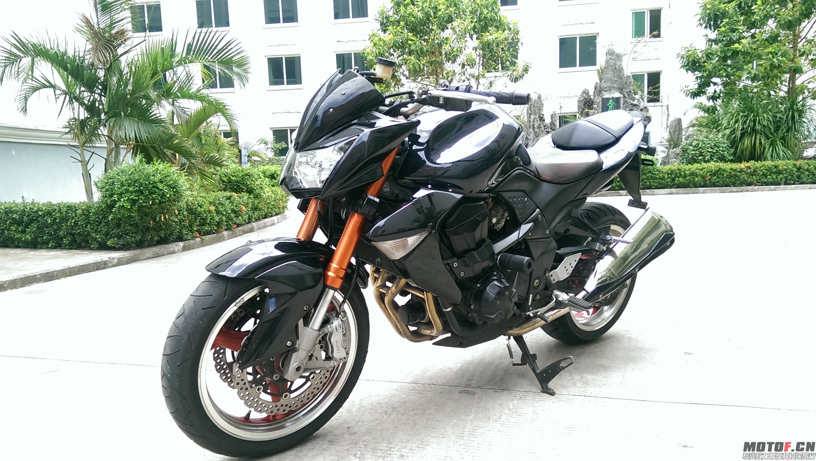 IMAG0378.jpg