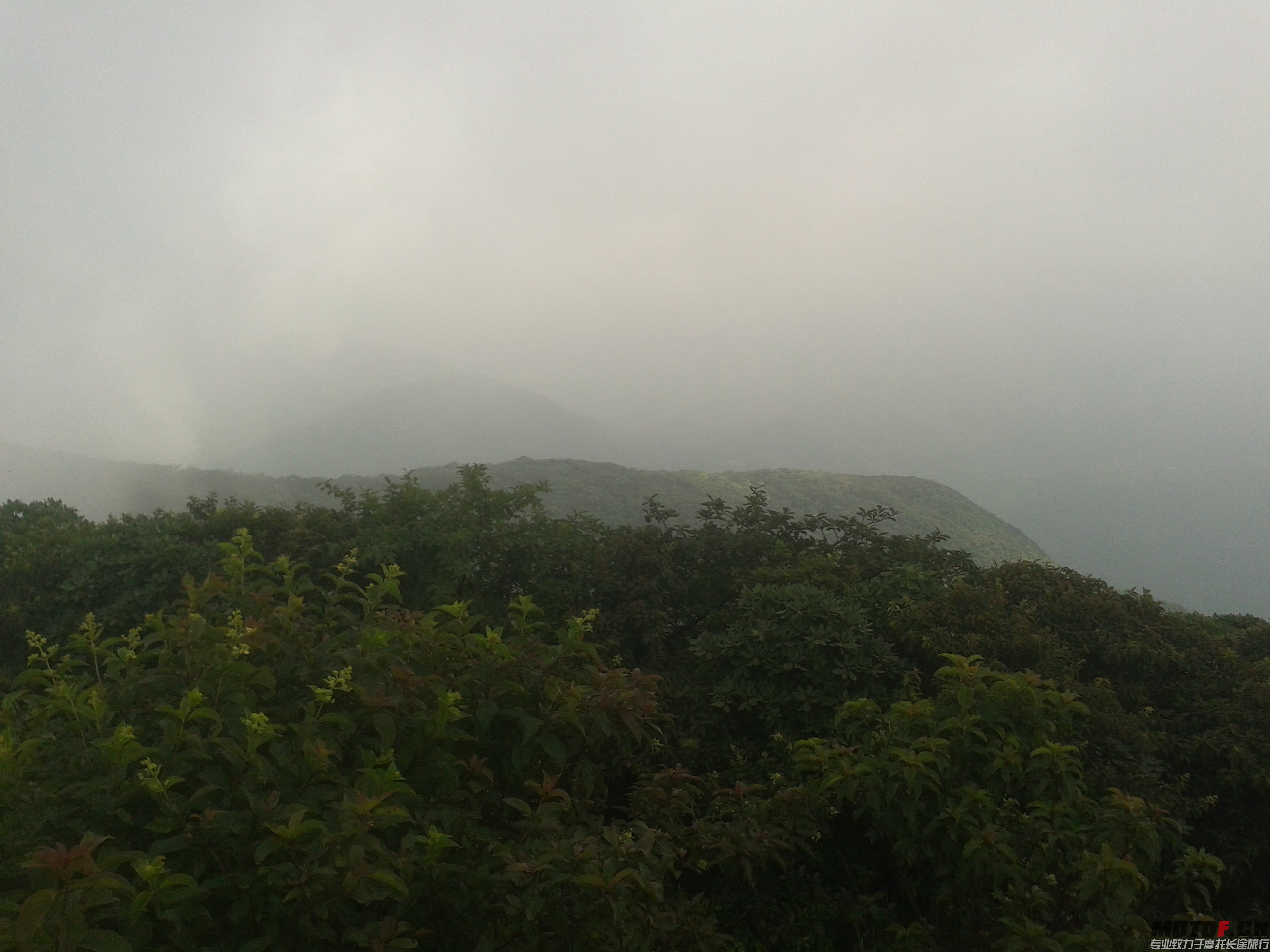 山顶一角