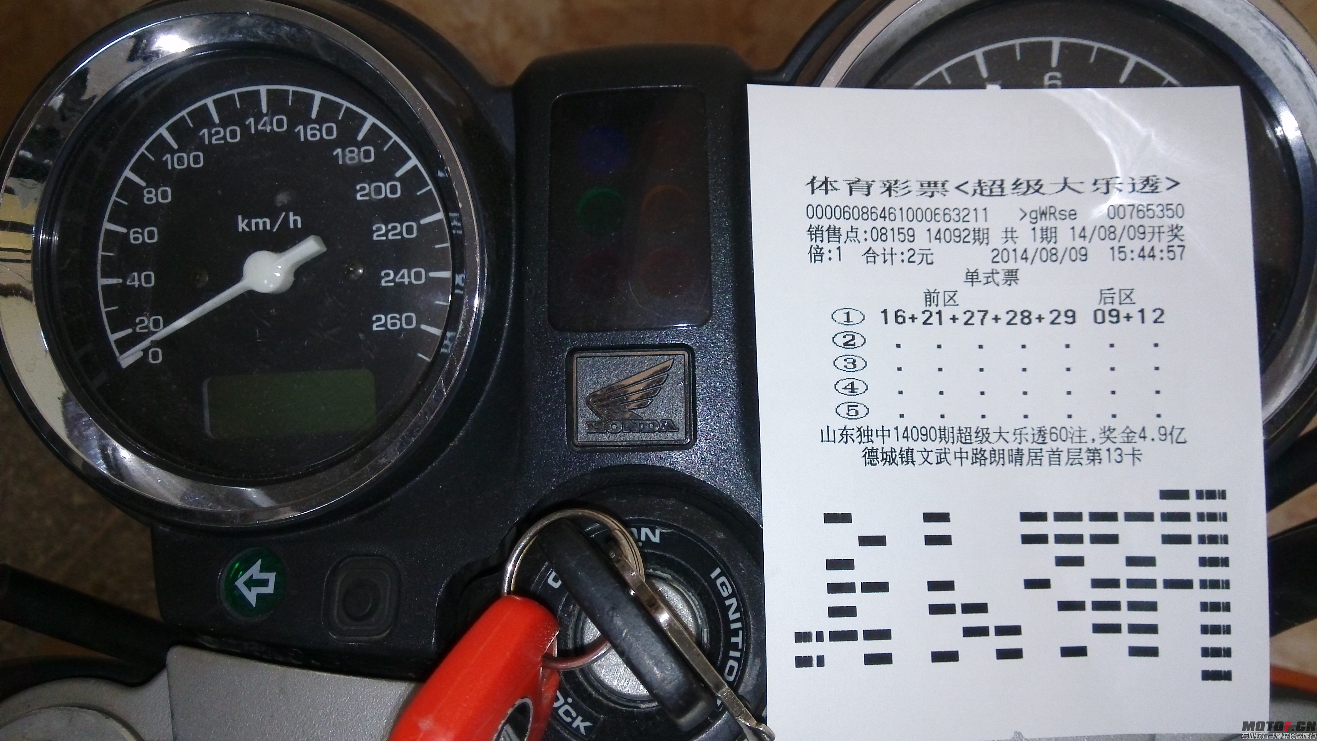 IMG_20140809_155416.jpg