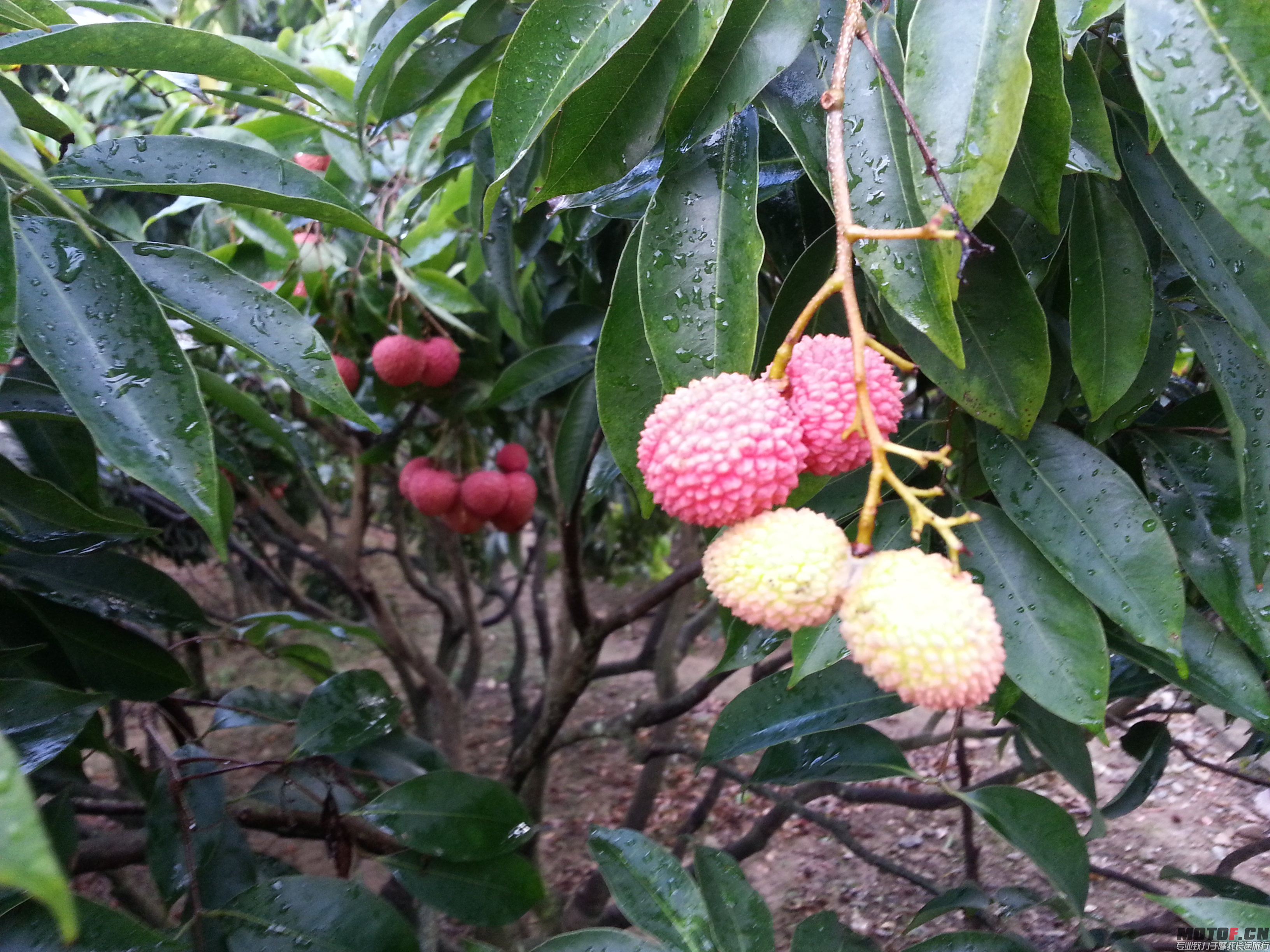 20140629_173627.jpg