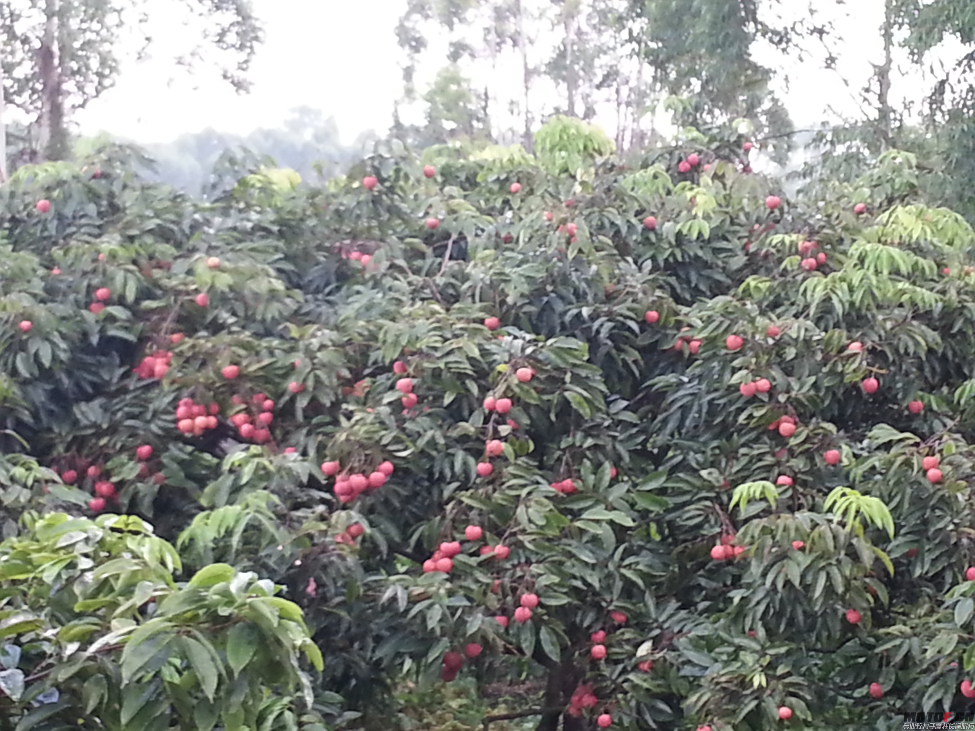 20140629_173645.jpg
