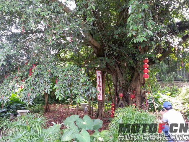 调整大小 20140817_102232.jpg