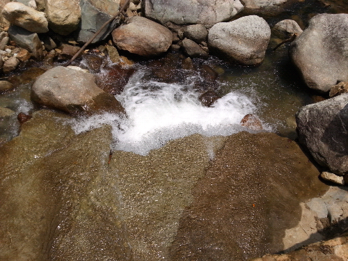 20140824_122145.jpg