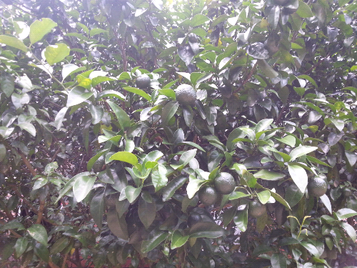 20140824_122615.jpg