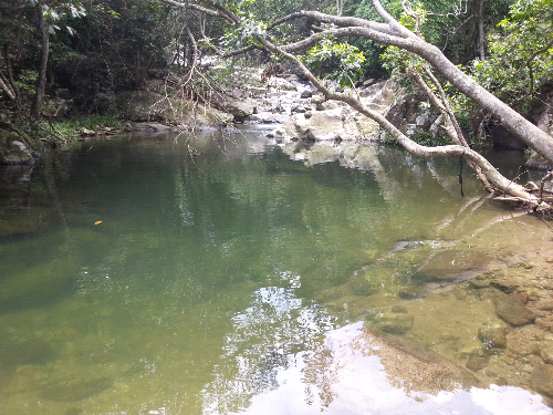 20140824_122834.jpg