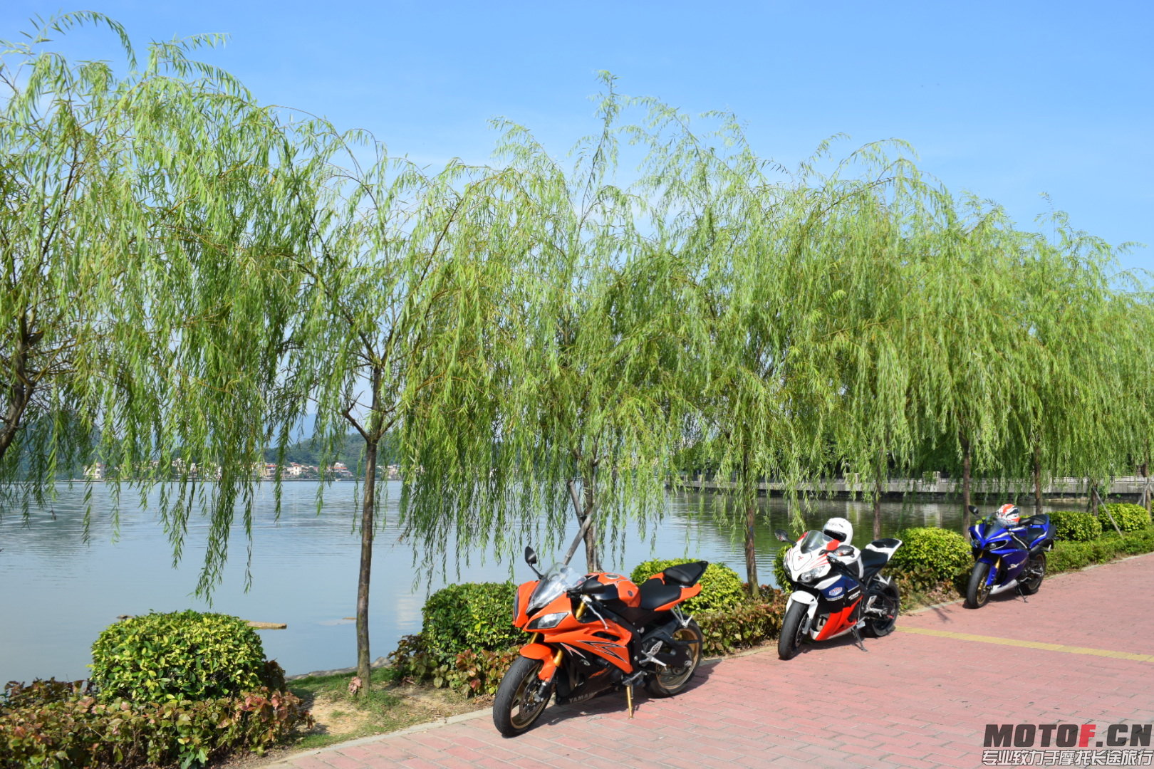 DSC_0099.JPG