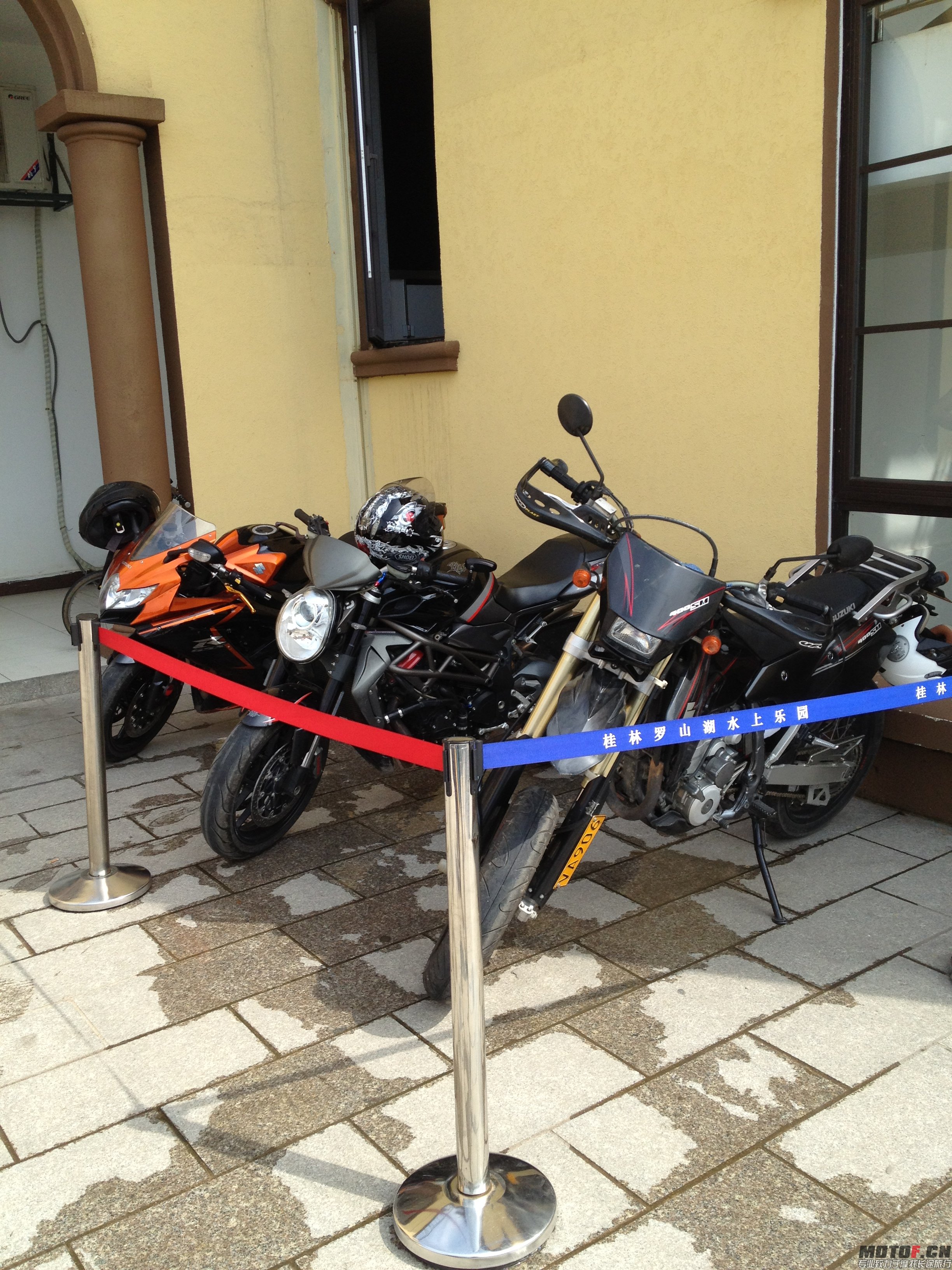 IMG_3533.JPG