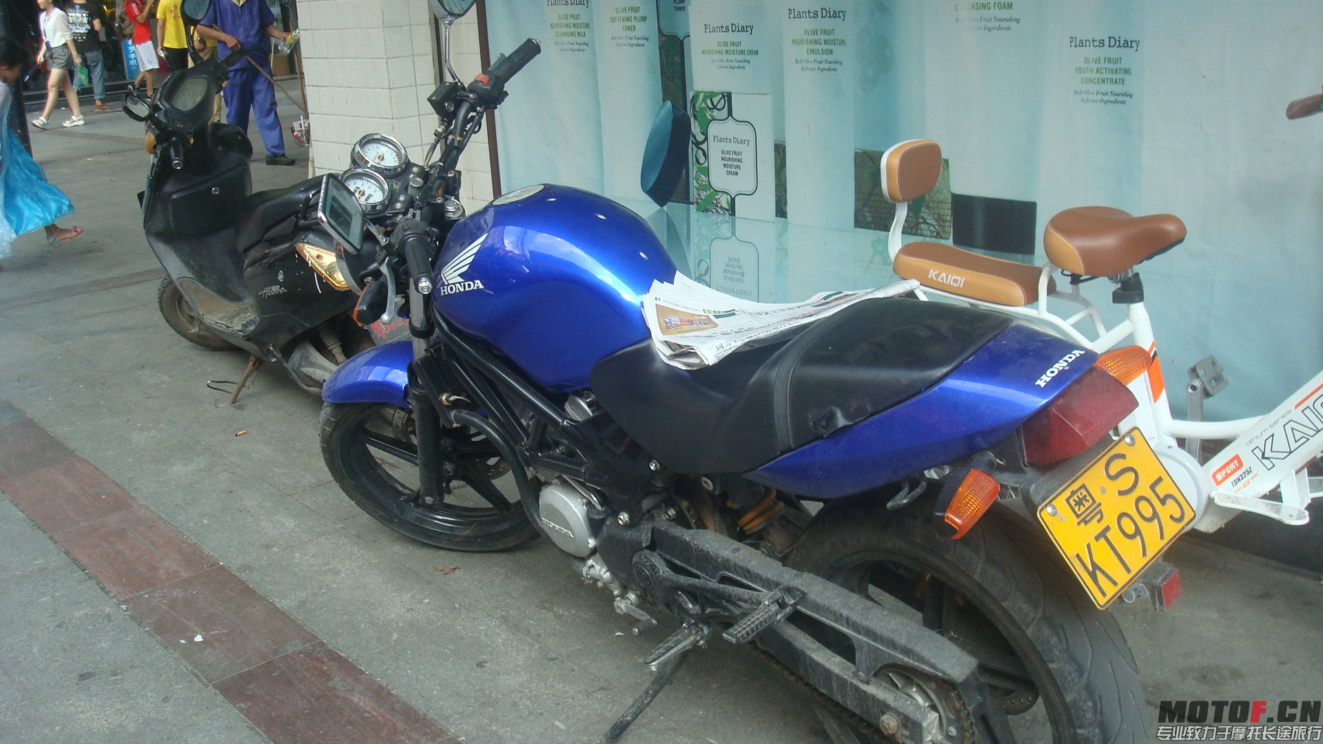 DSC03537.JPG