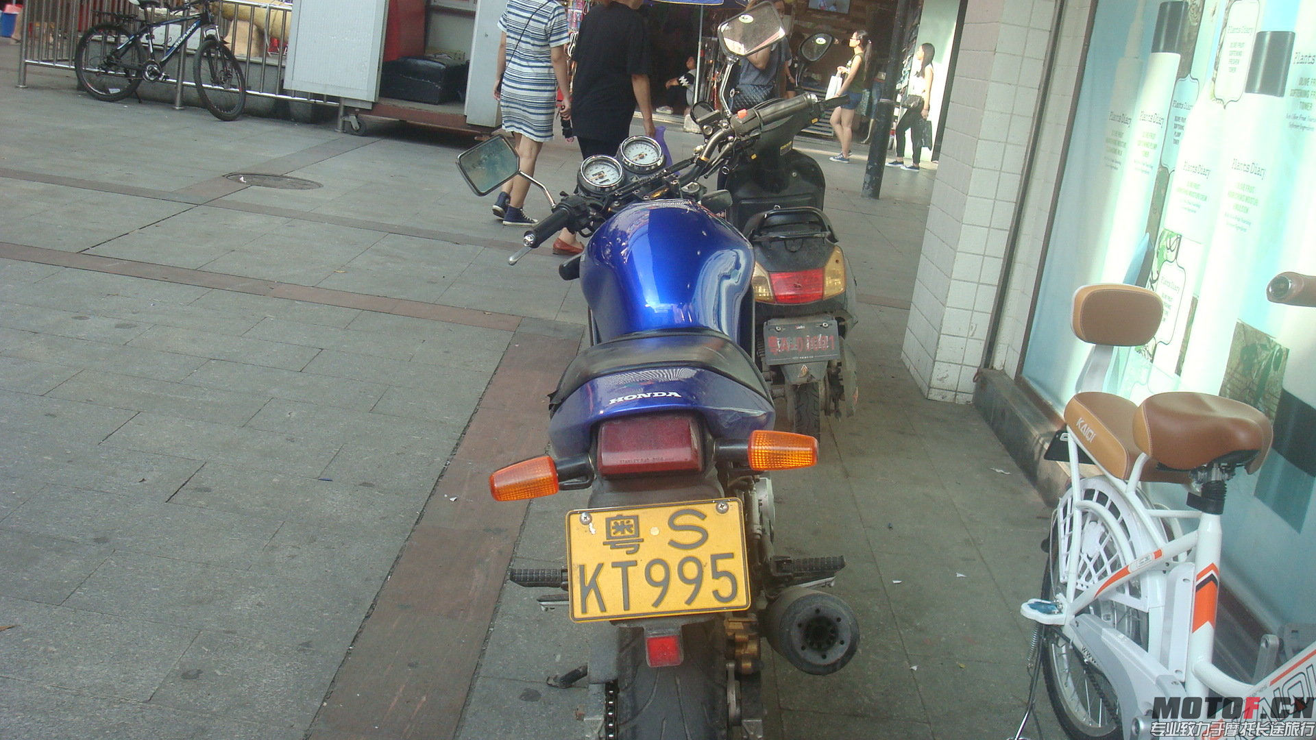 DSC03541.JPG