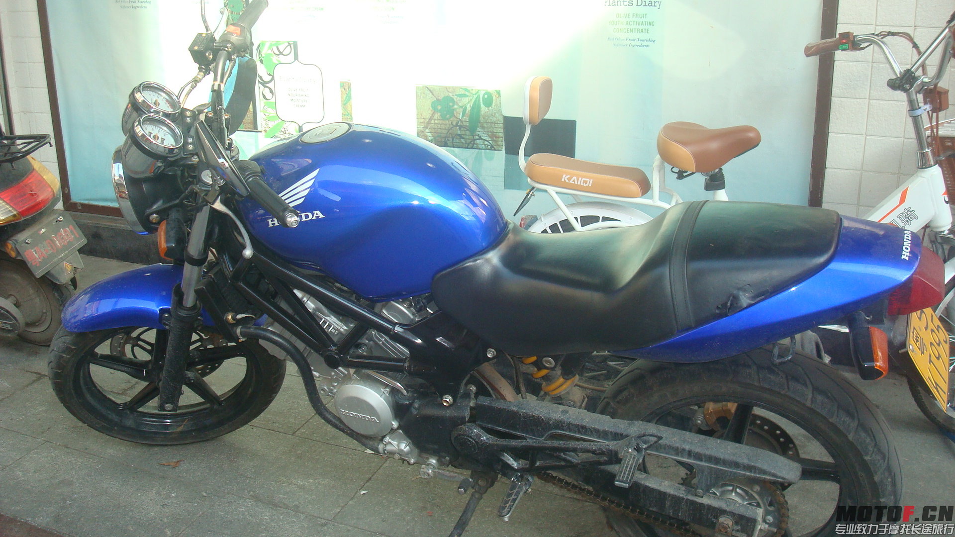 DSC03542.JPG