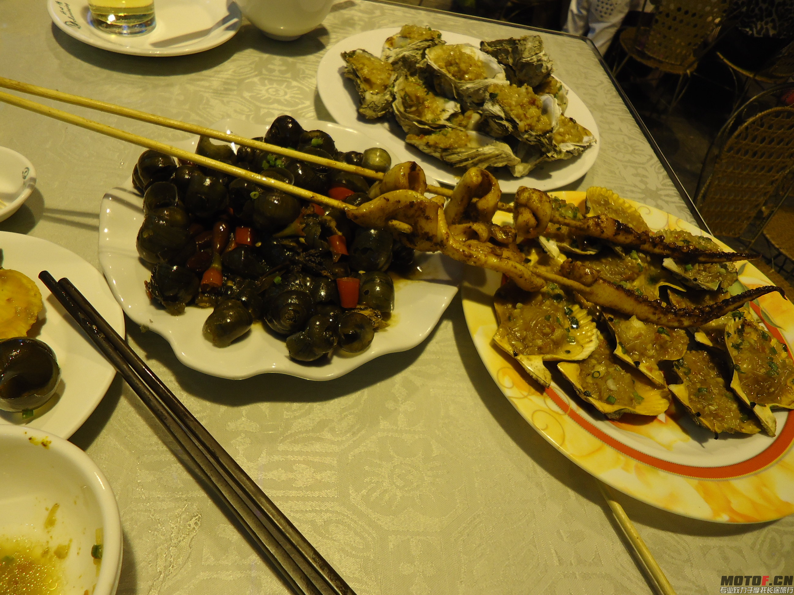 DSC01529.JPG