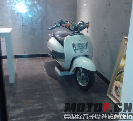 小绵羊啊