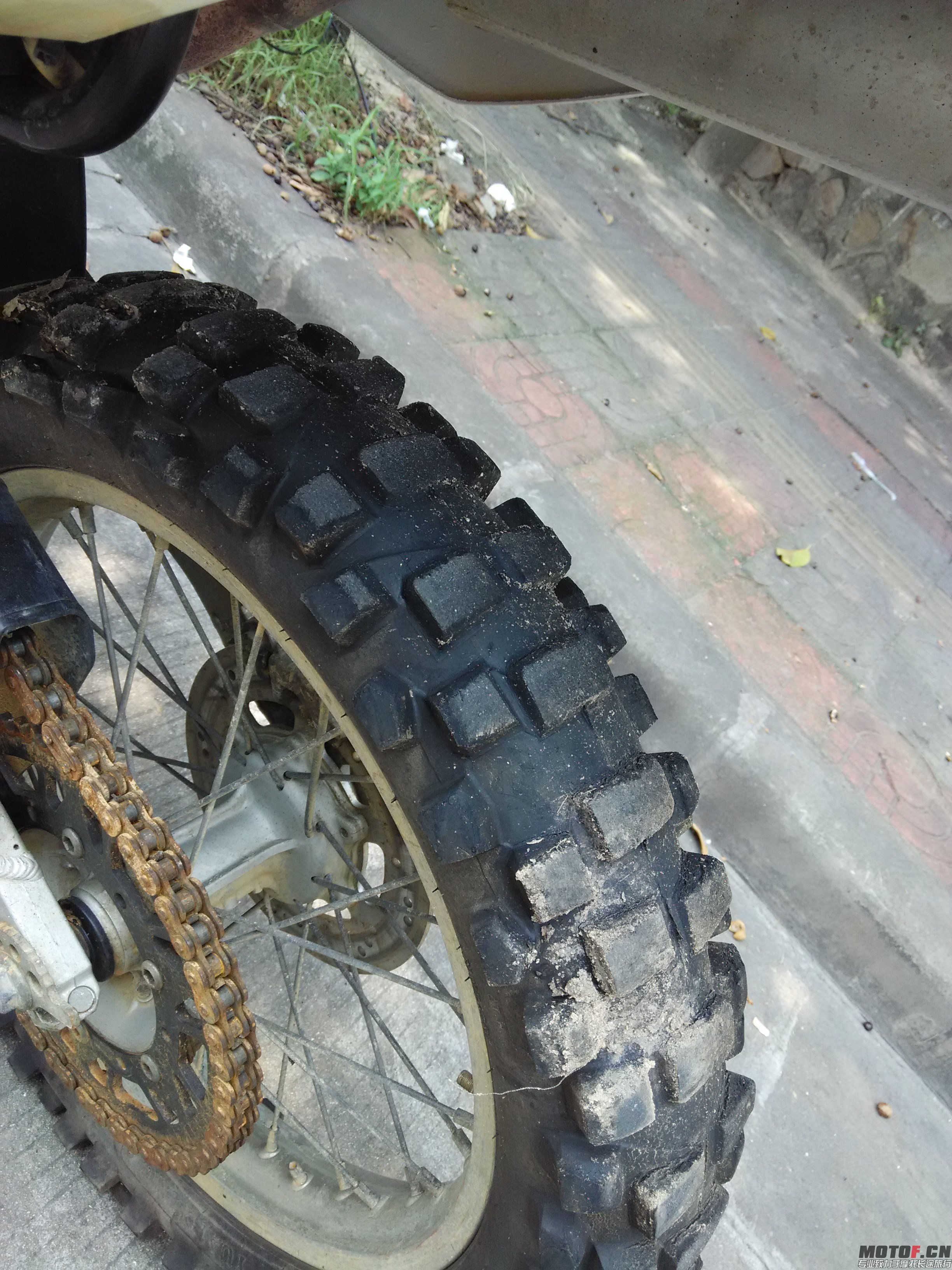IMG_20140902_120137.jpg
