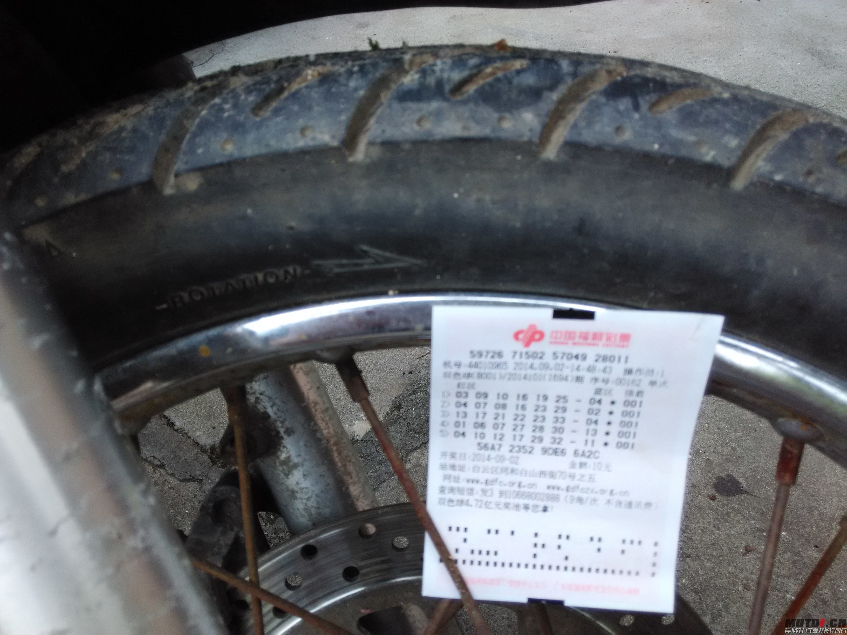 IMG_20140902_150635.jpg