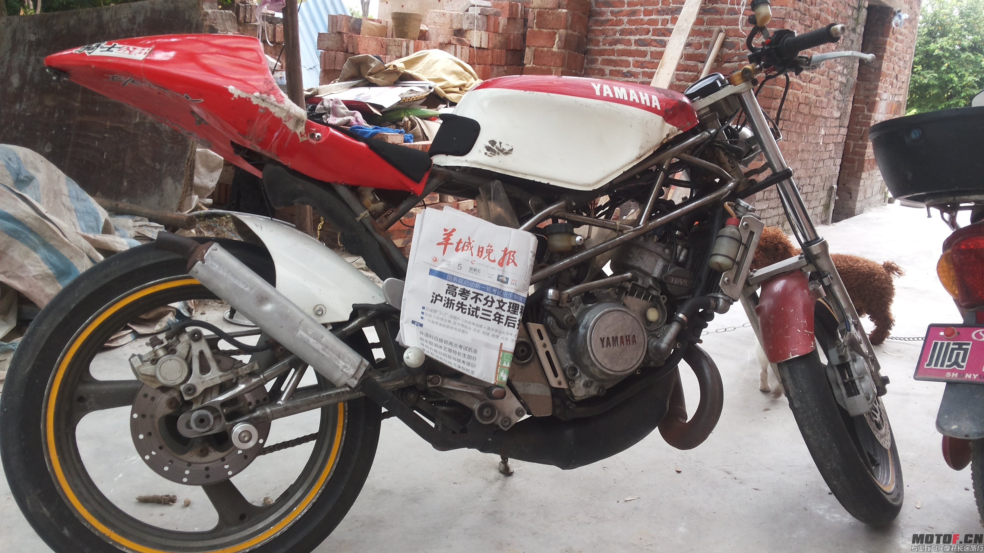 20140905_104122.jpg