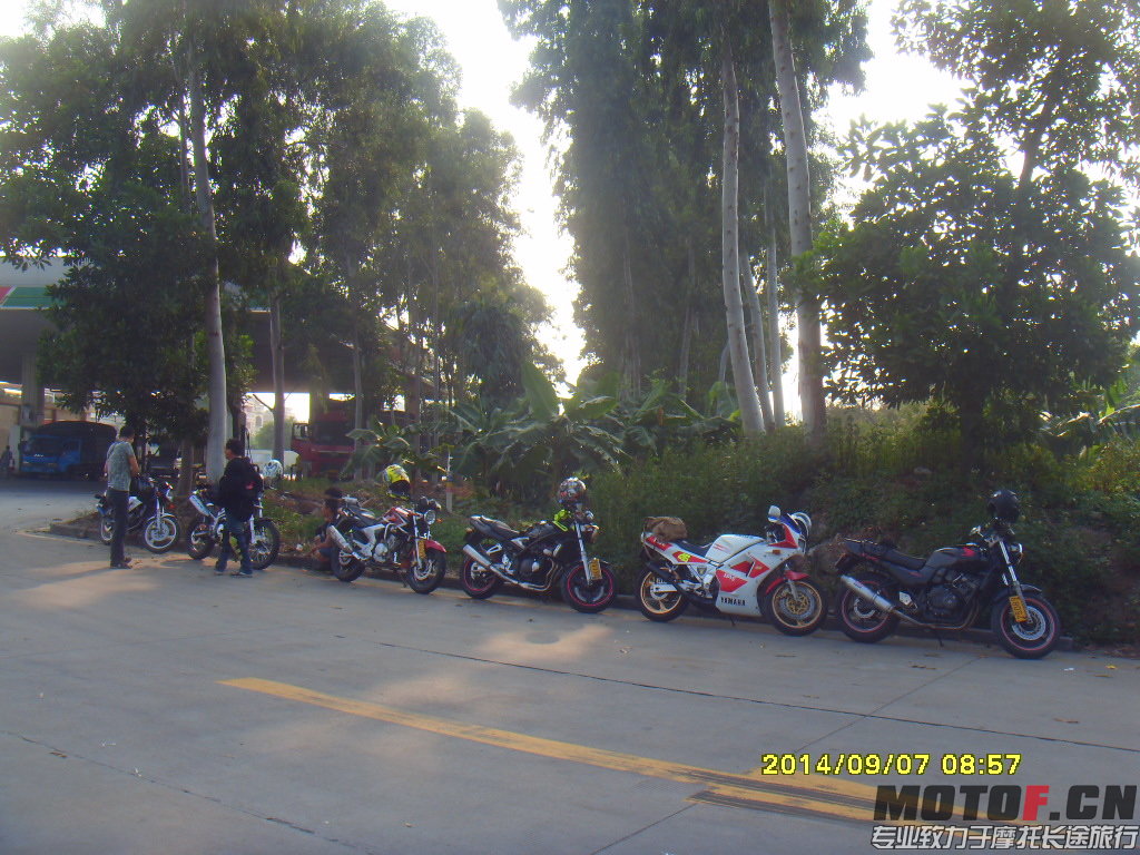 SDC14489.JPG