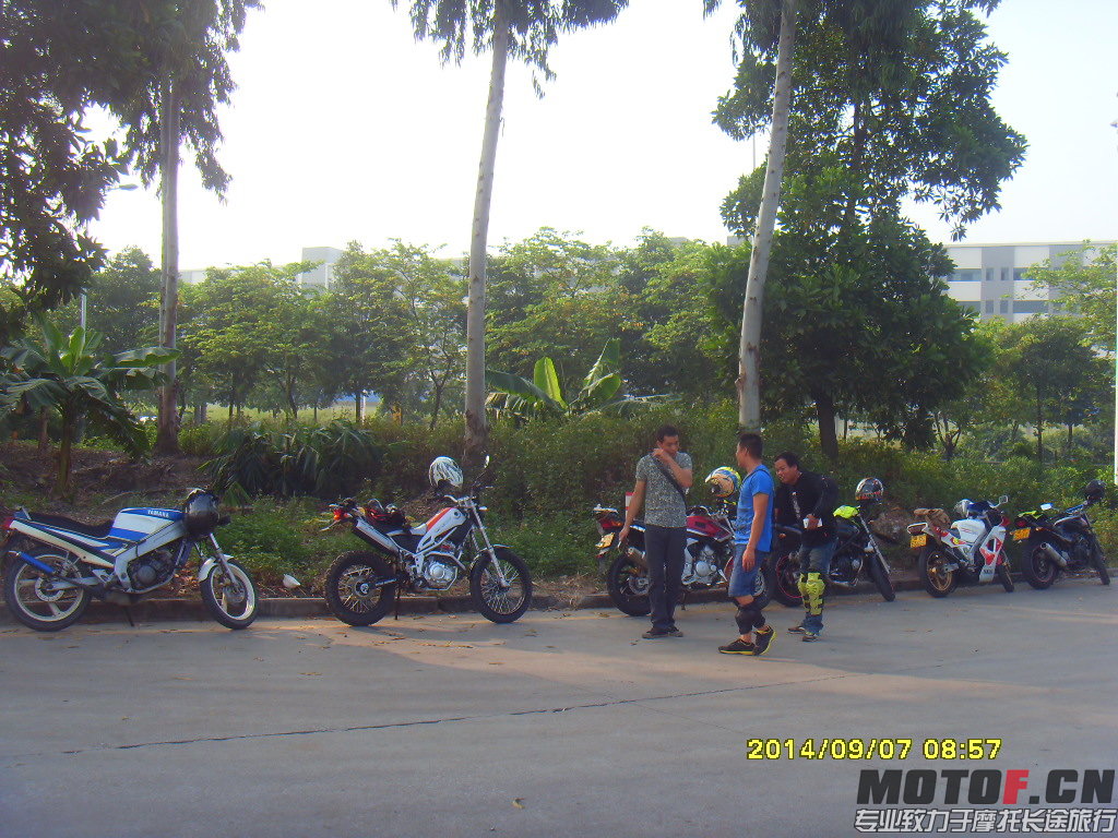SDC14491.JPG