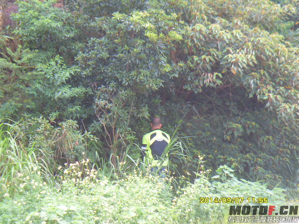 SDC14511.JPG
