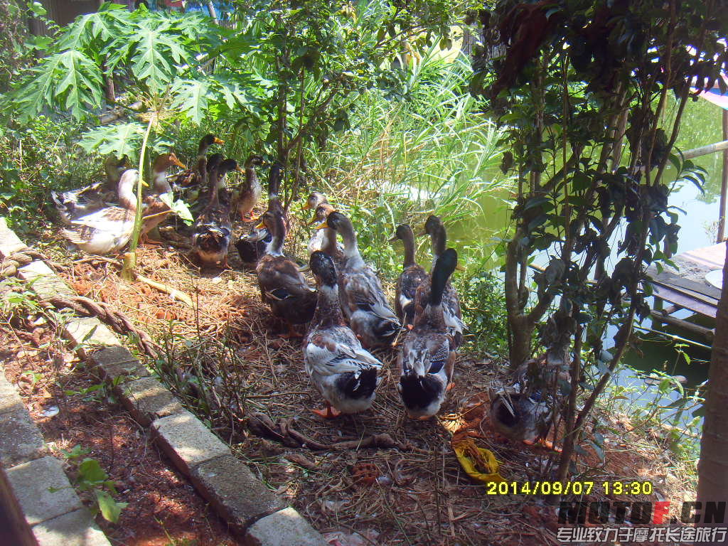 SDC14524.JPG