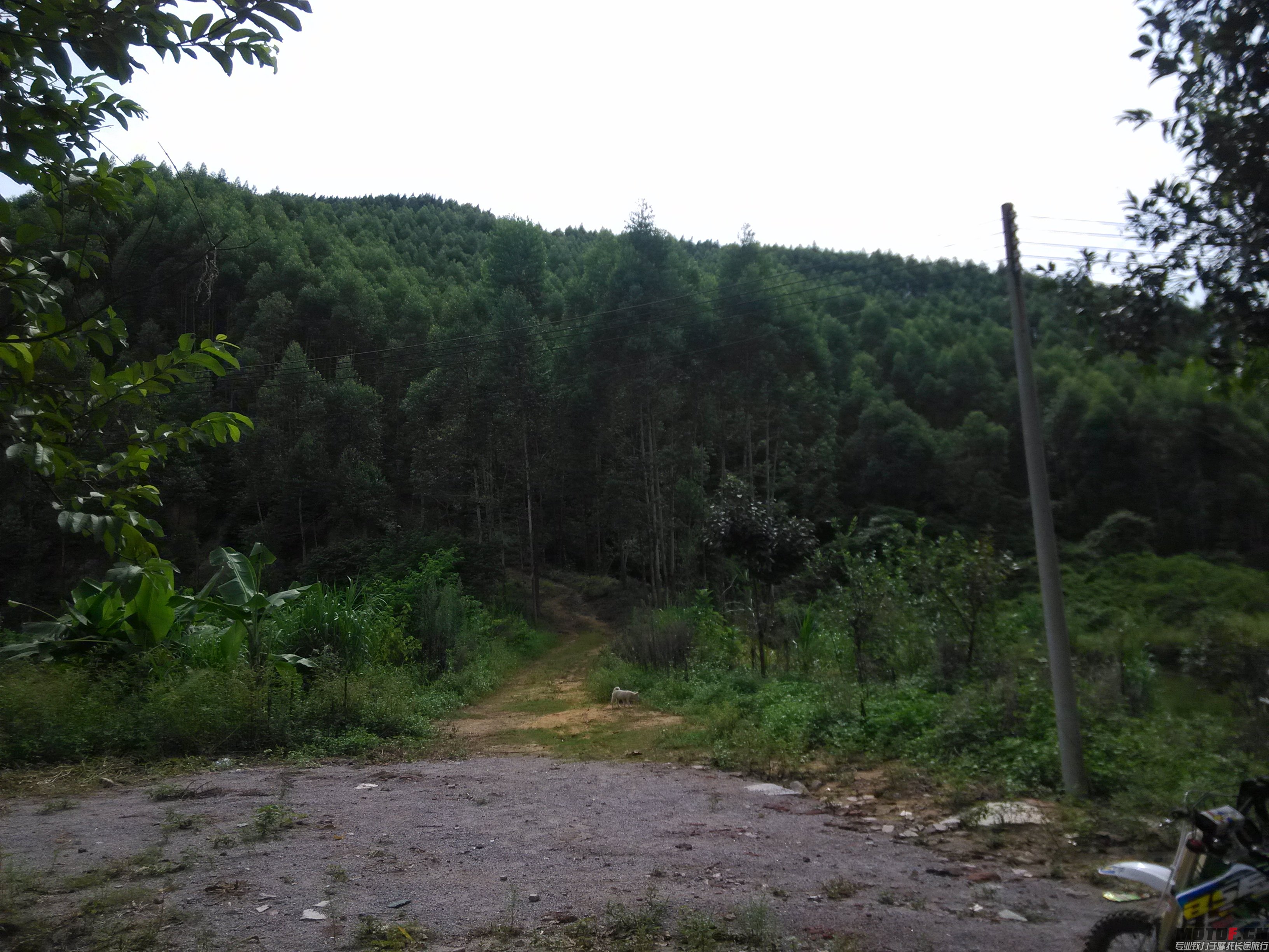 IMG_20140908_151501.jpg