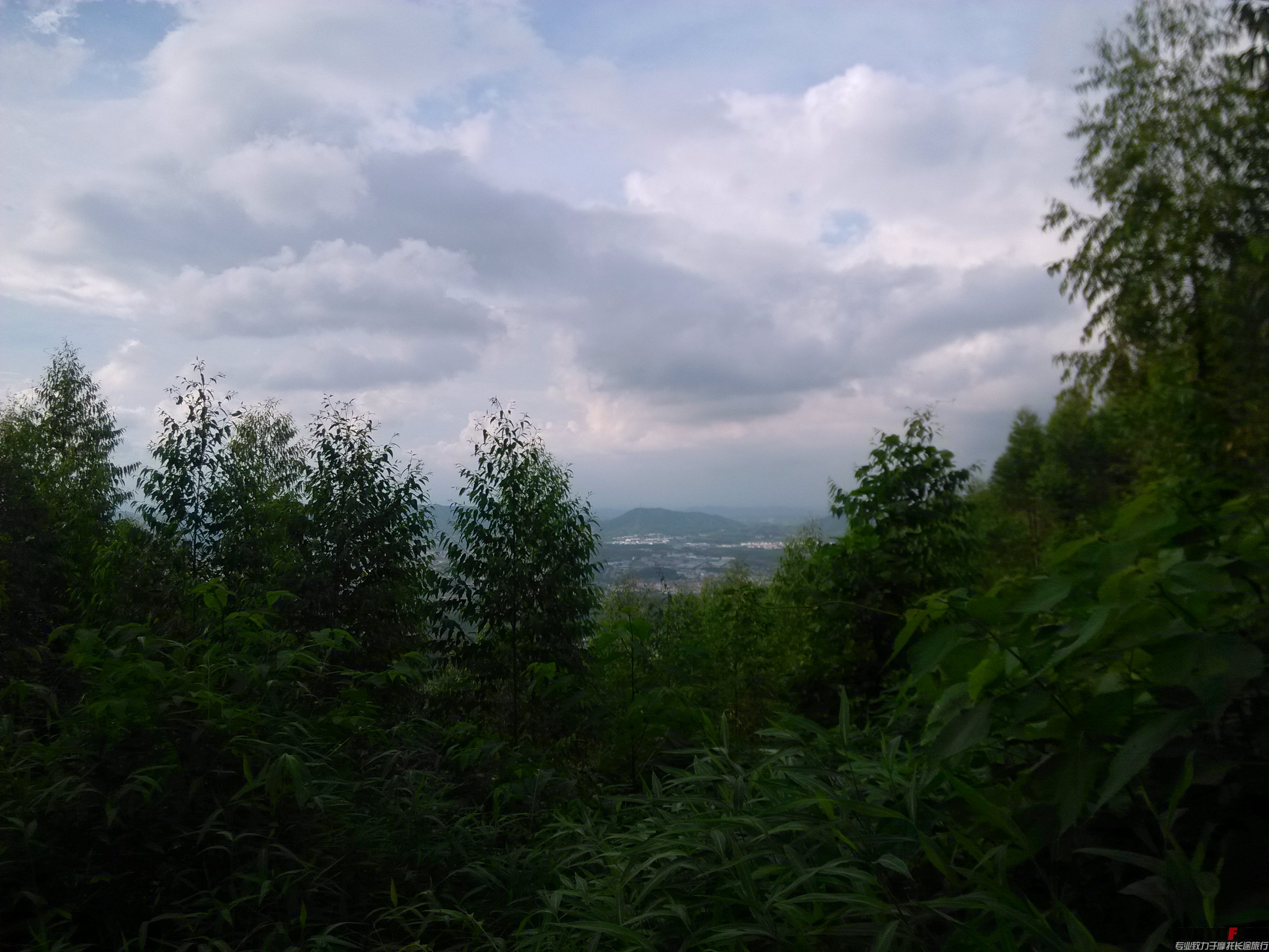 IMG_20140908_164617.jpg