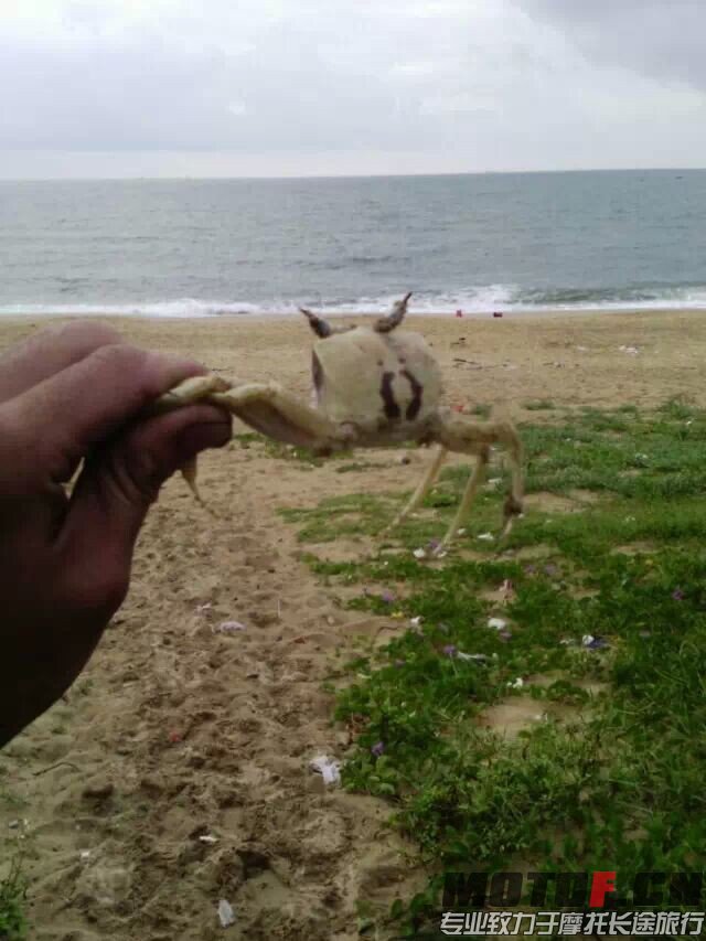 QQ图片20140912122119.jpg