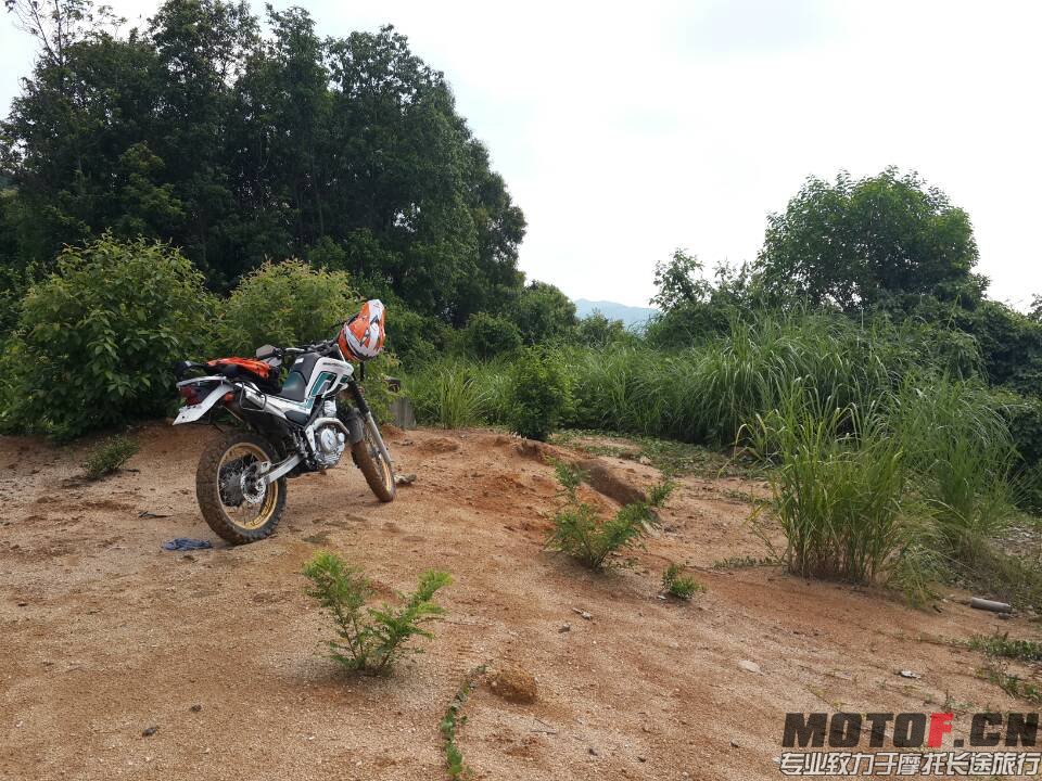 mmexport1410687815323.jpg