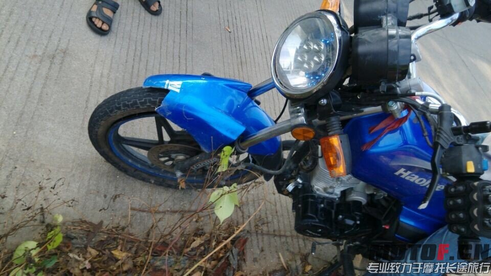 QQ图片20140916015842.jpg
