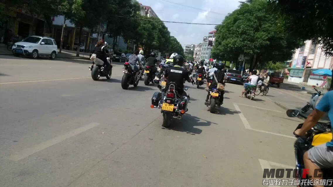 VDSGB65.jpg