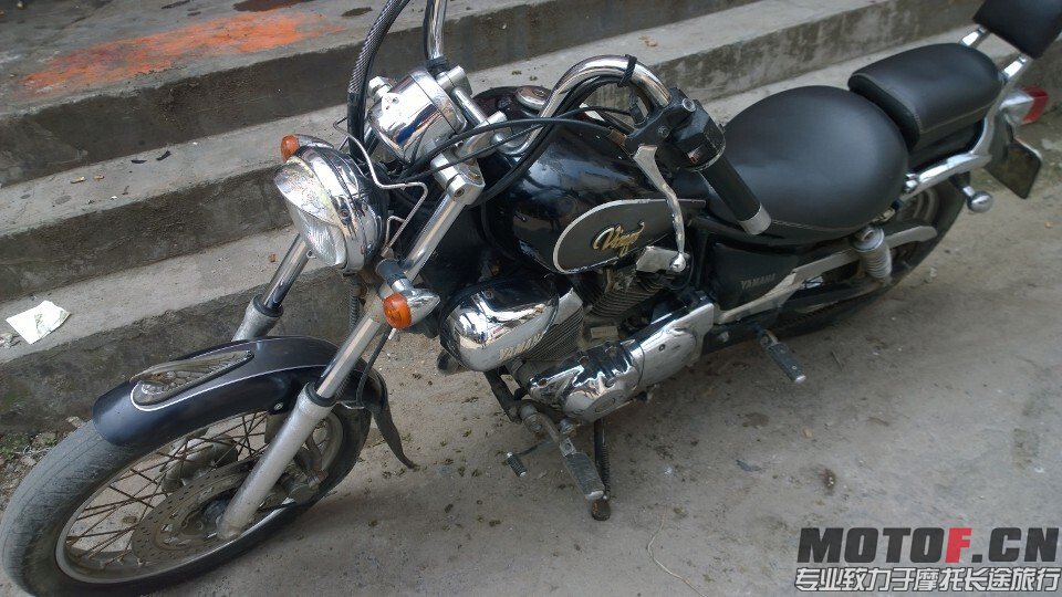 T6565.jpg