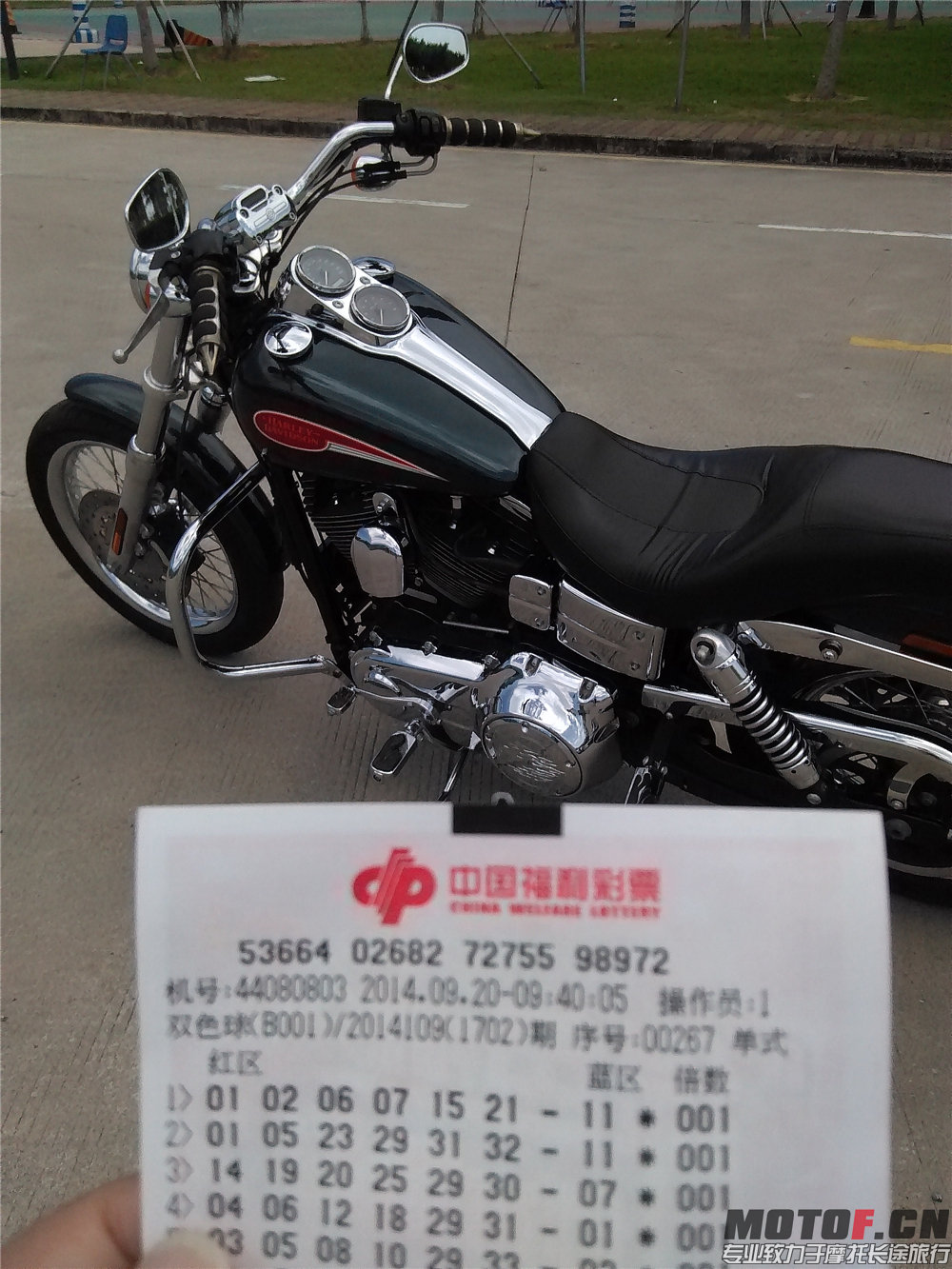 IMG_20140920_114815.jpg