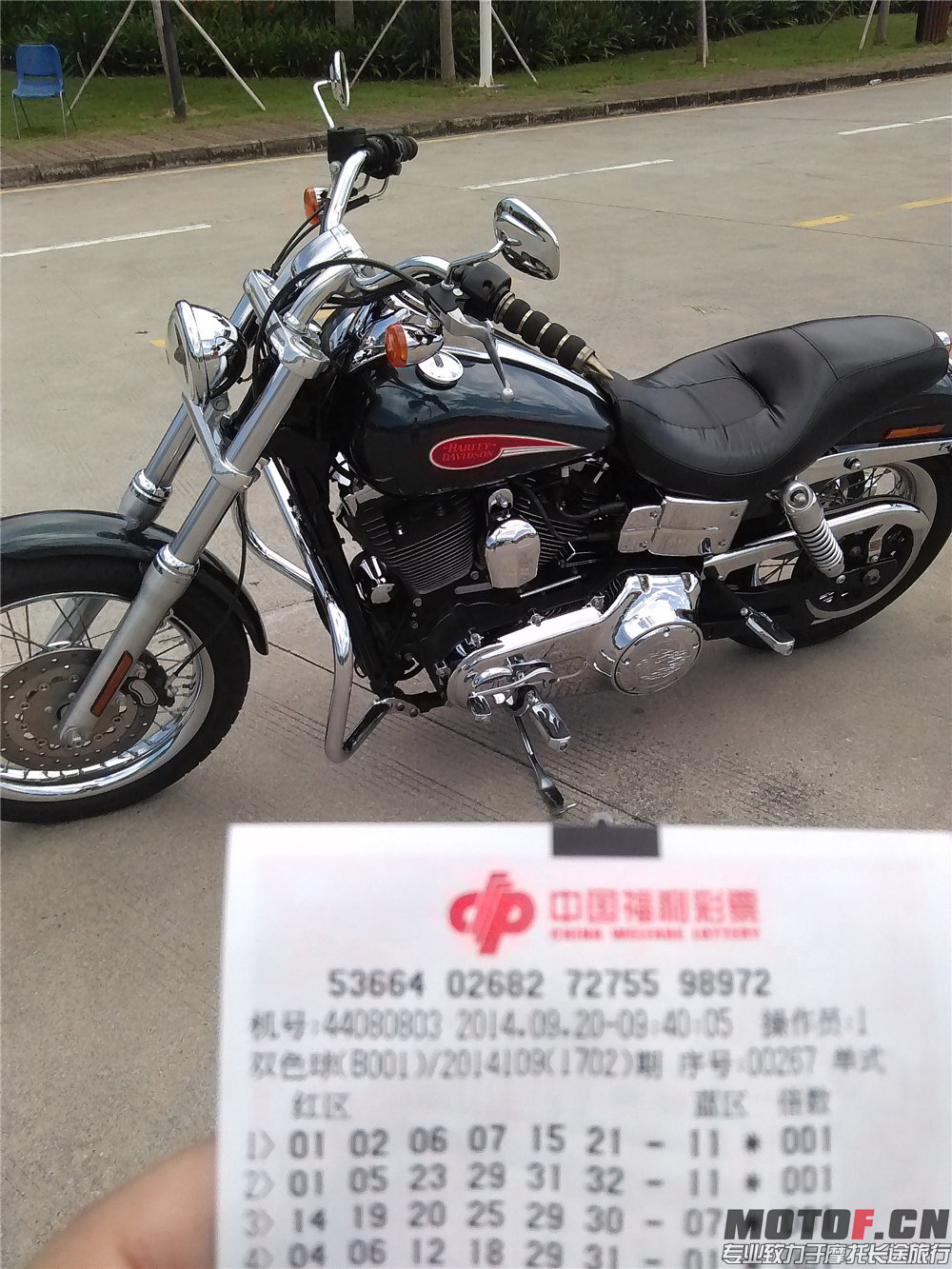 IMG_20140920_114827.jpg