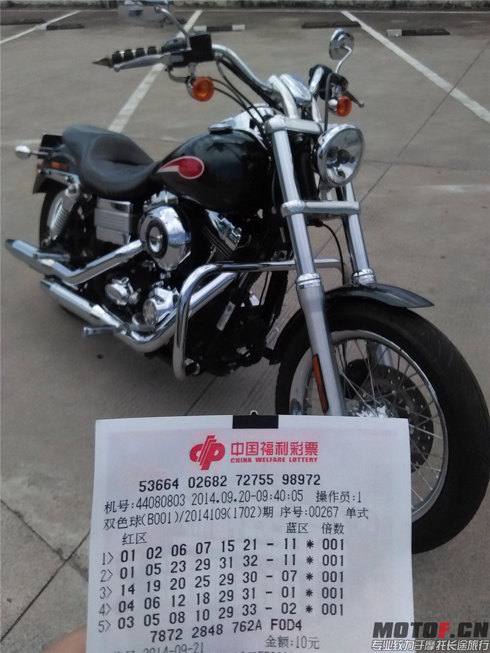 IMG_20140920_114728.jpg