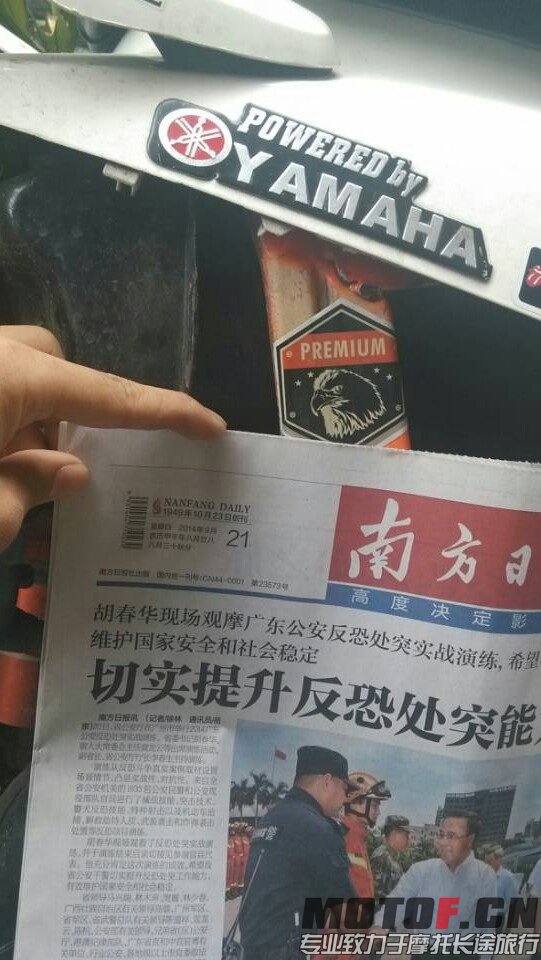 image.jpg