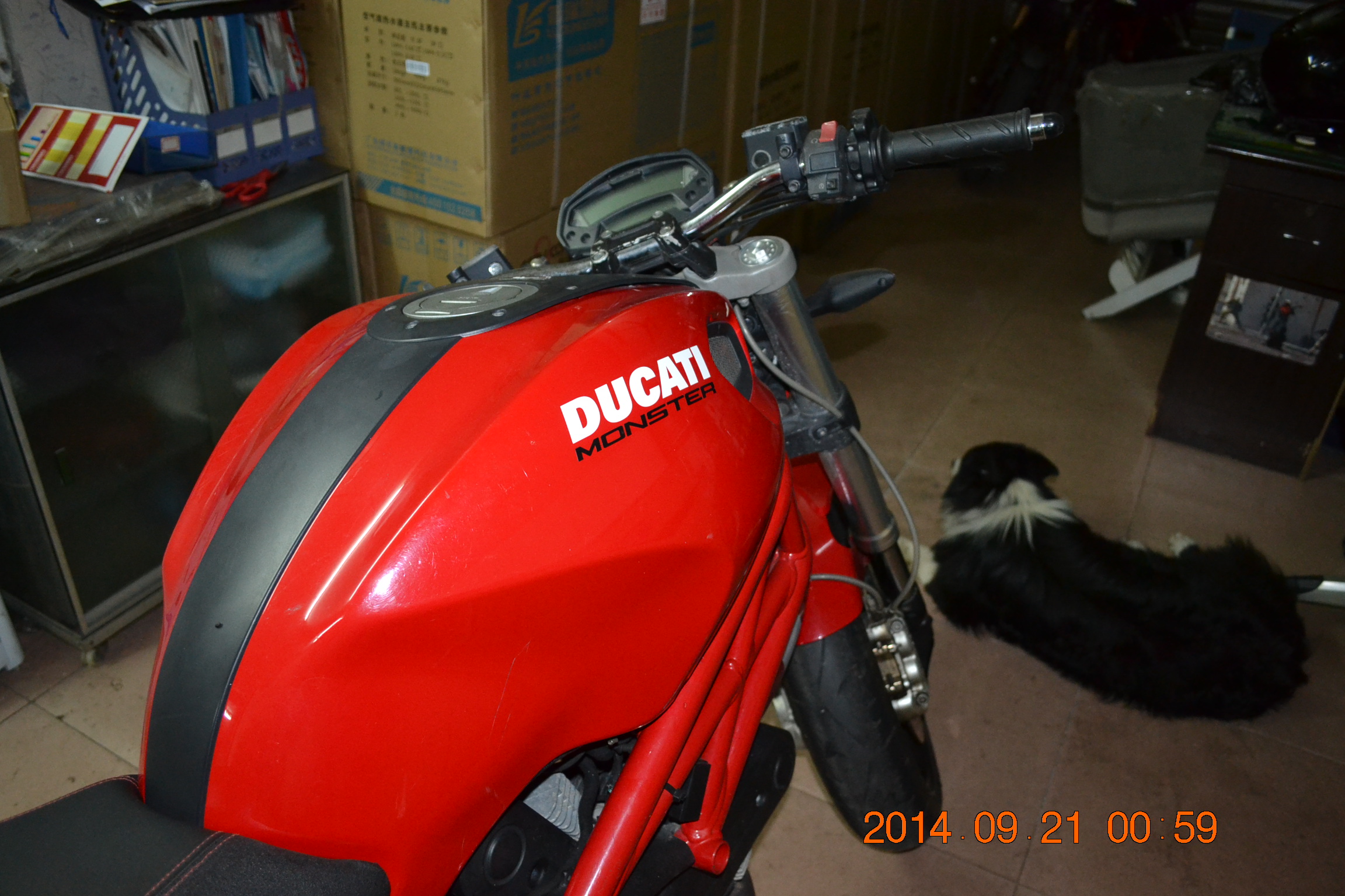 DSC_0087.JPG