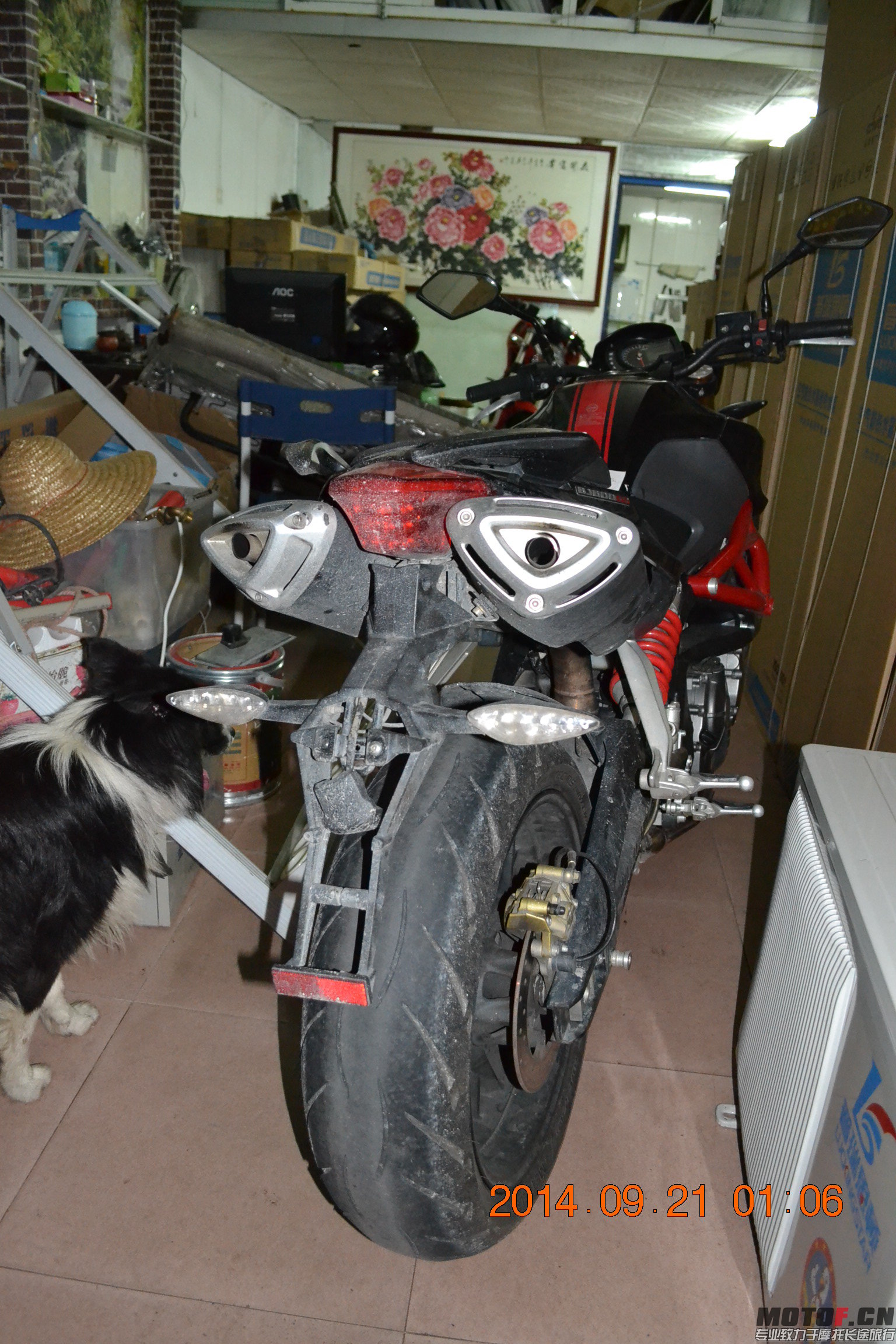 DSC_0107.JPG