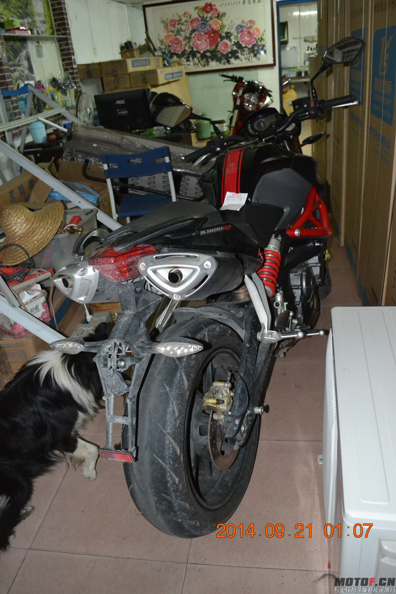 DSC_0110.JPG
