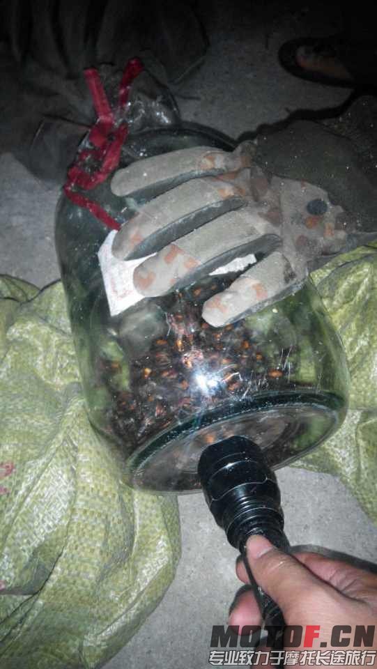 mmexport1411303406277.jpg