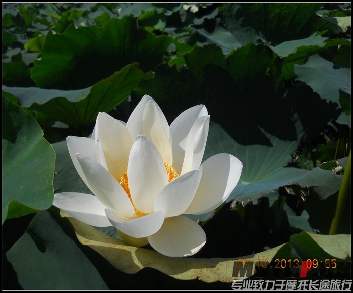 DSCN7522.jpg
