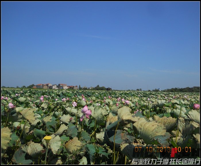 DSCN7531.jpg