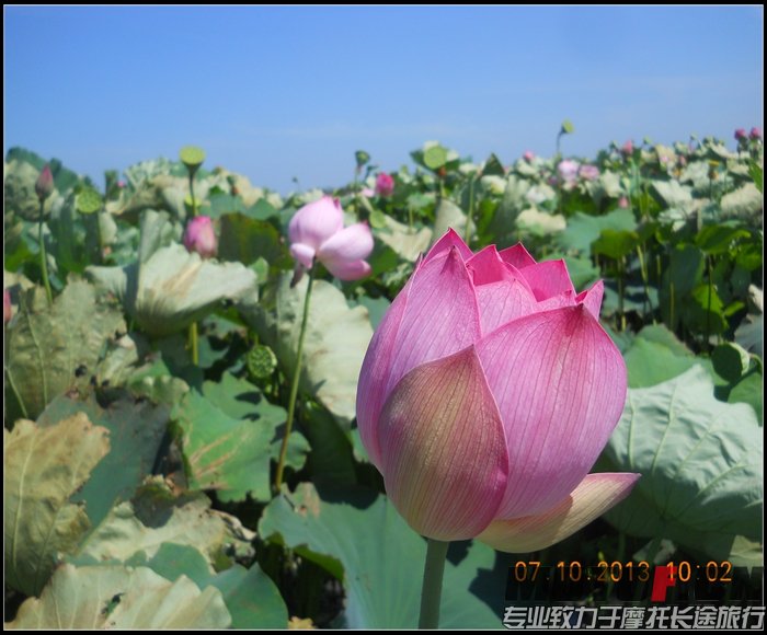 DSCN7532.jpg