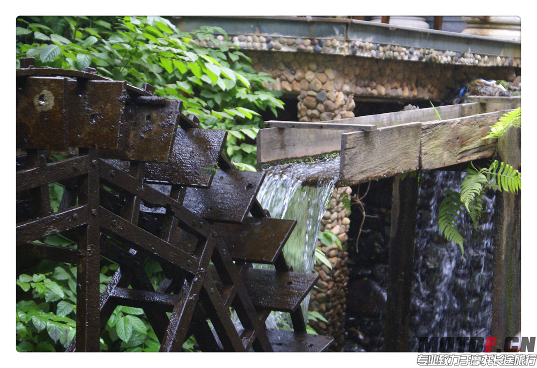 DSC02012.jpg