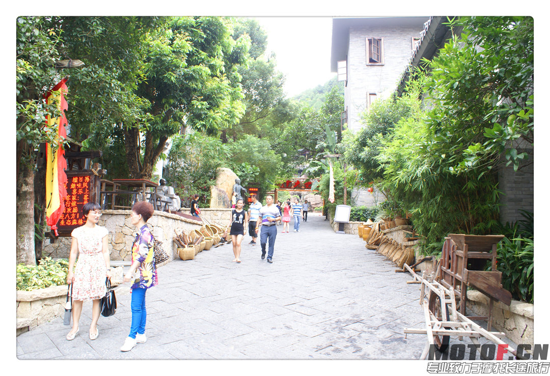 DSC02014.jpg