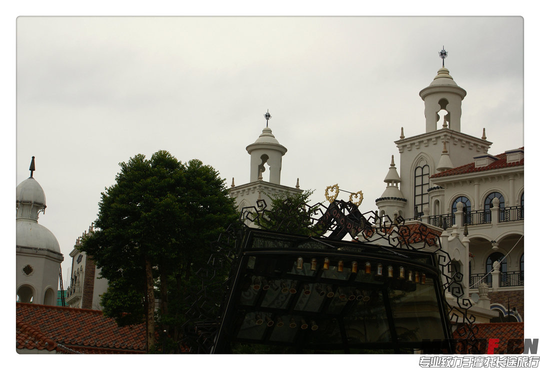 DSC02106.jpg