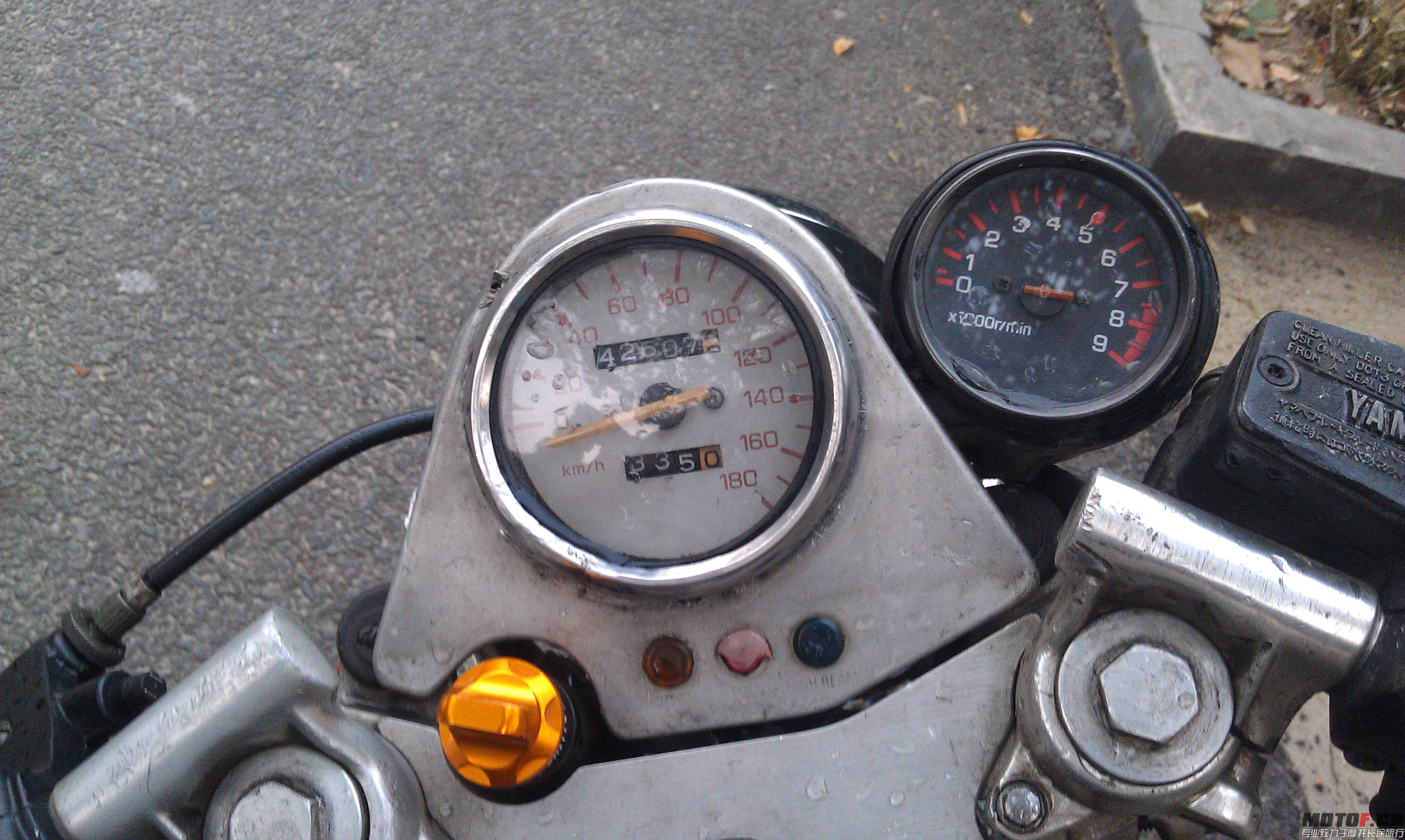 IMAG0009.jpg
