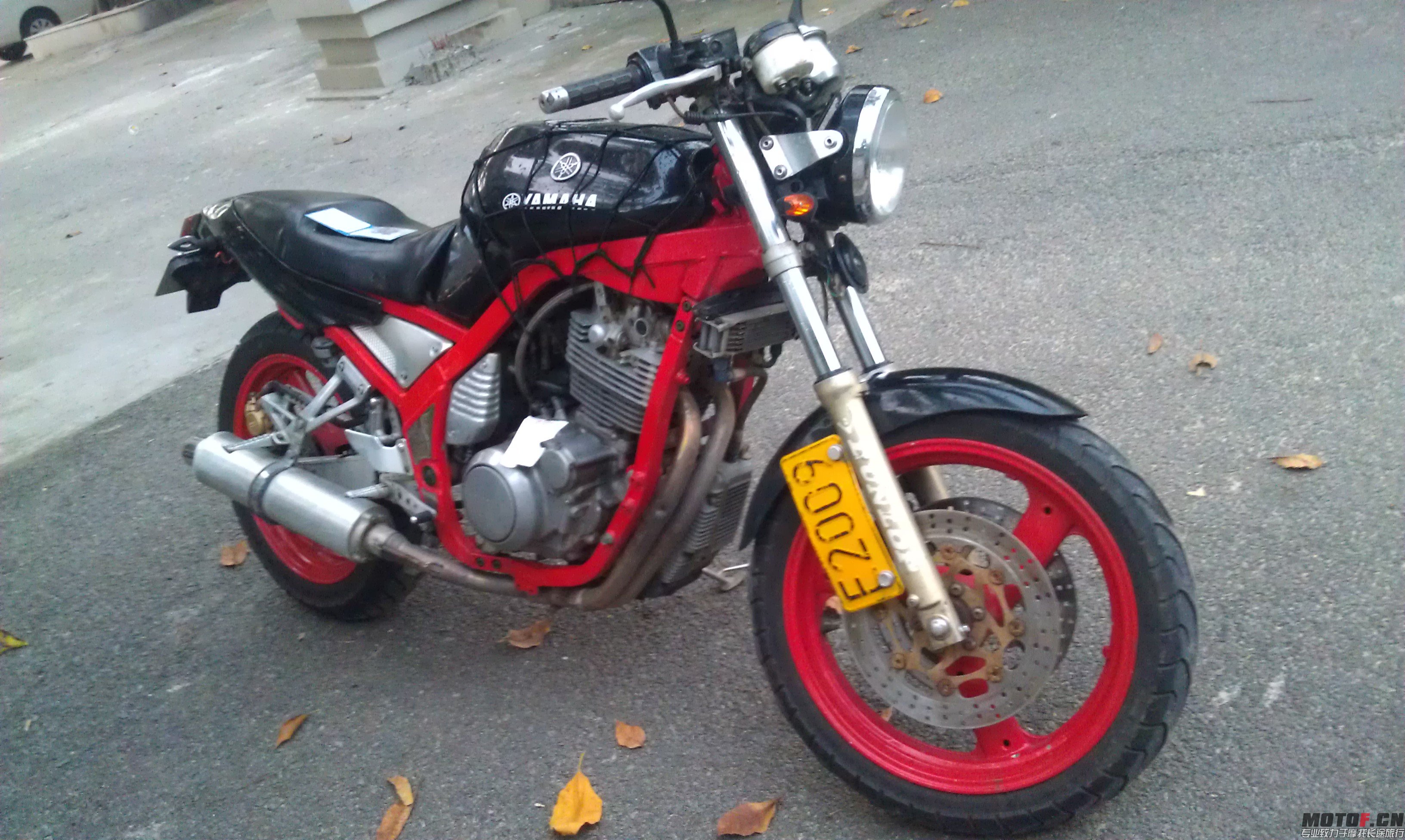 IMAG0017.jpg